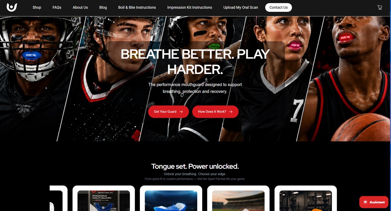 Sport Pal website homepage preview