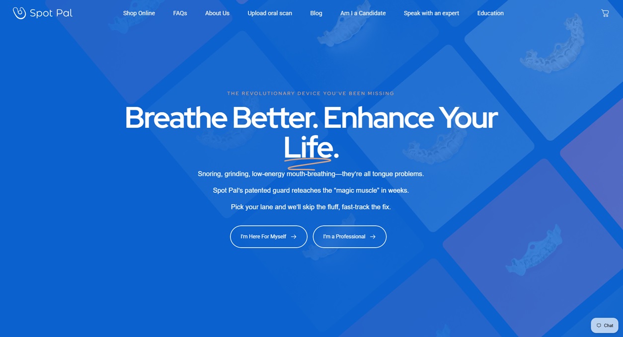 Spot Pal website homepage preview